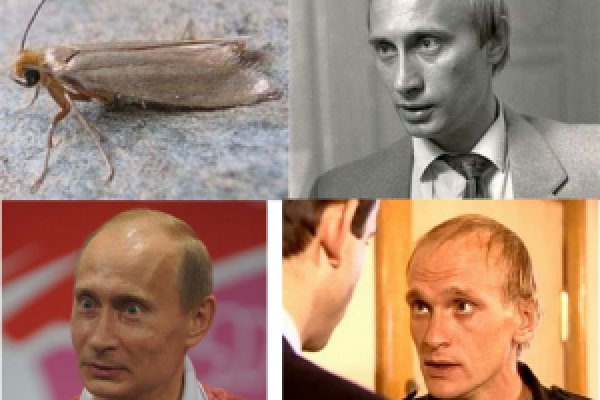Kra45.cc Вход на сайт главная страница