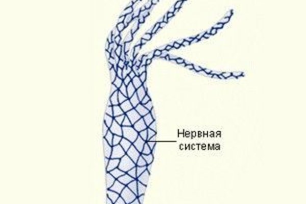 Магазин кракен как попасть
