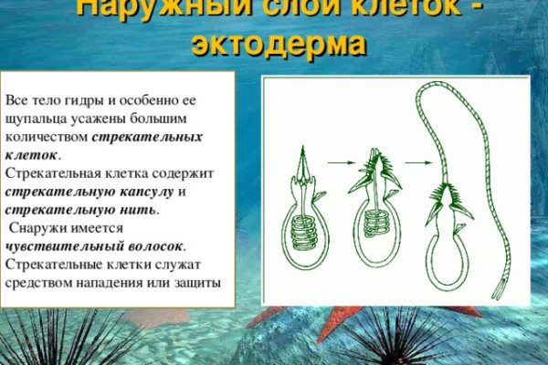 Кракен сайт зеркало рабочее