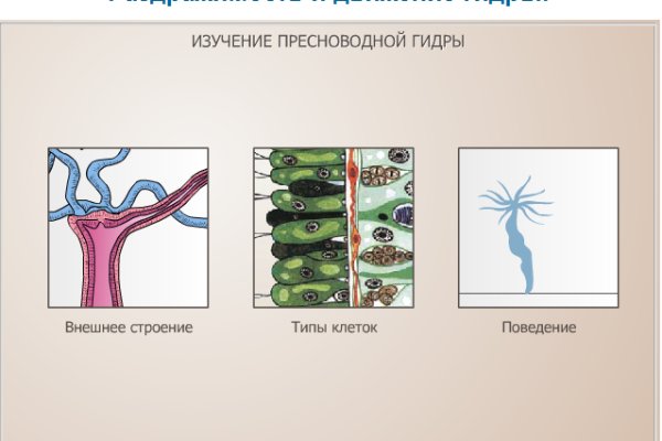 Кракен даркнет только через