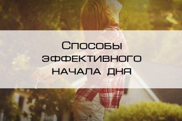 Как найти кракен в торе