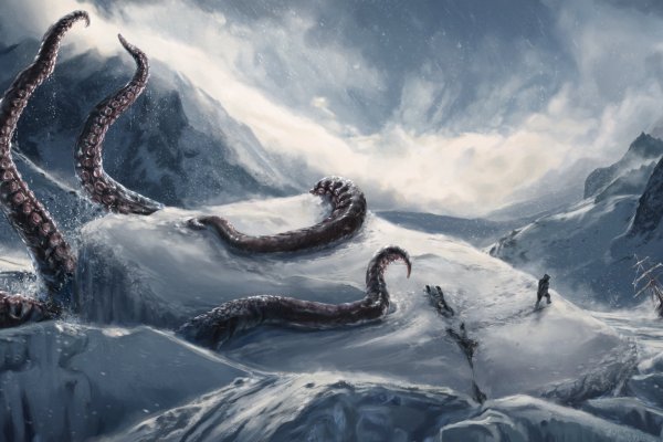 Kraken kraken dark link