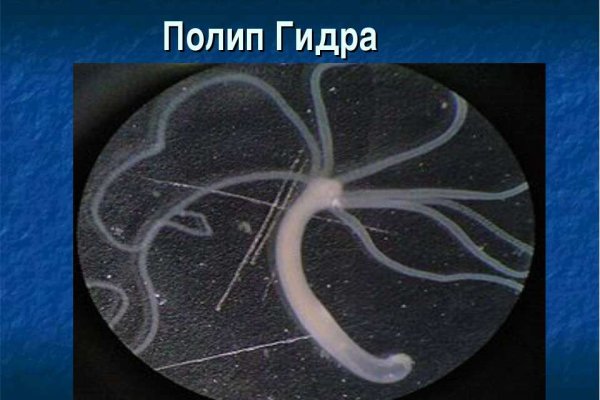 Кракен маркет свежие ссылки