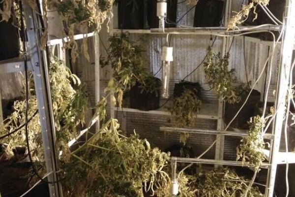 Сайты продаж наркотиков