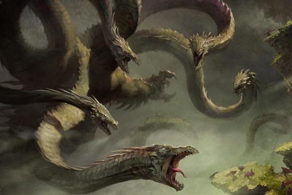Kraken 12
