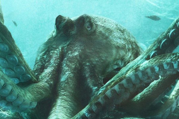 Kraken ссылки актуальные 2025 г