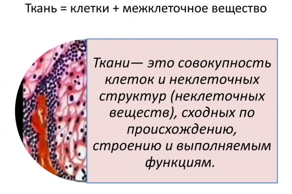 Кракен даркнет store kraken dark link