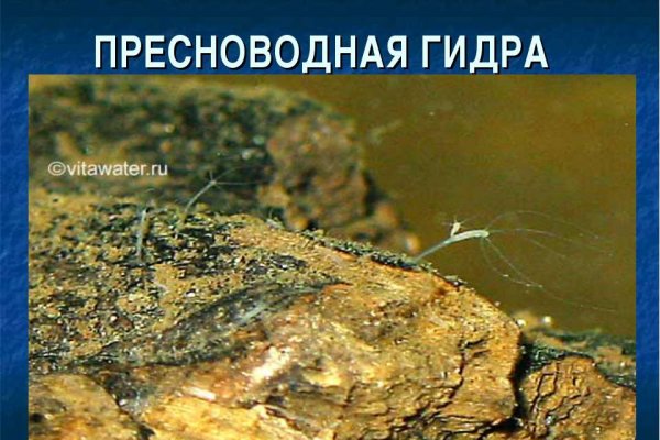 Кракен зарегистрироваться